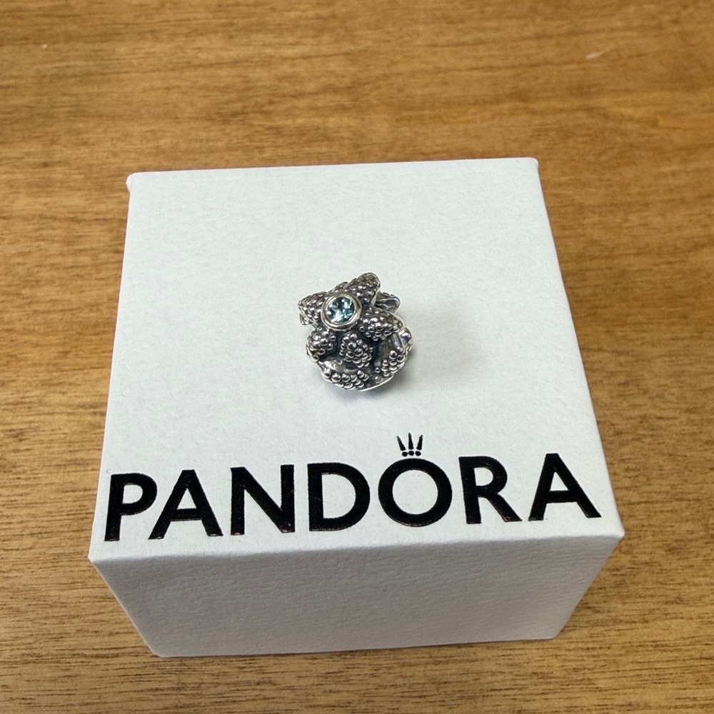 Silver and Black Pandora starfish charm